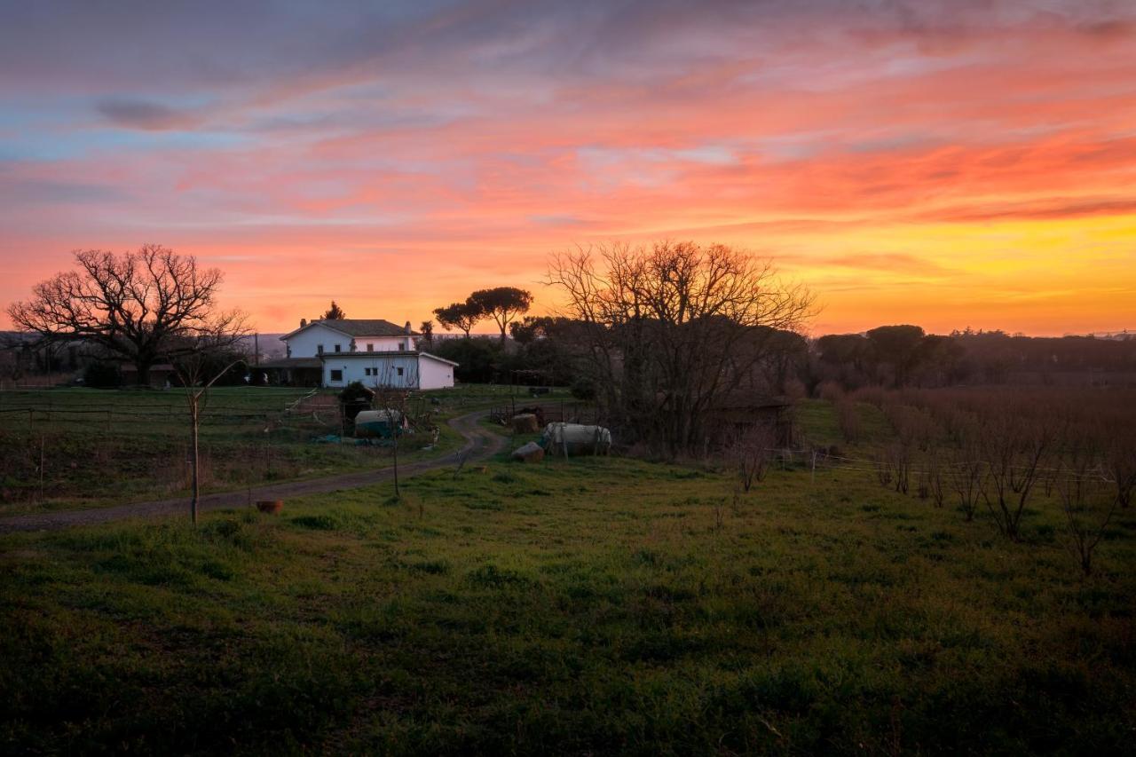 Agriturismo Il Poggio เวตรัลลา ภายนอก รูปภาพ
