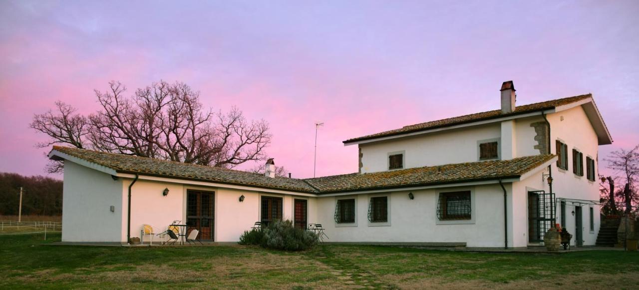 Agriturismo Il Poggio เวตรัลลา ภายนอก รูปภาพ