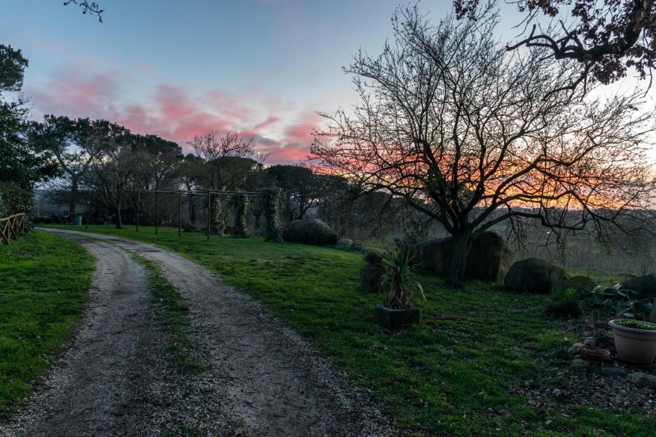 Agriturismo Il Poggio เวตรัลลา ภายนอก รูปภาพ