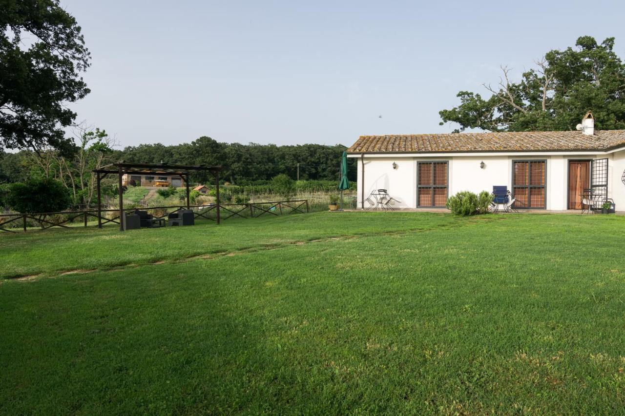 Agriturismo Il Poggio เวตรัลลา ภายนอก รูปภาพ