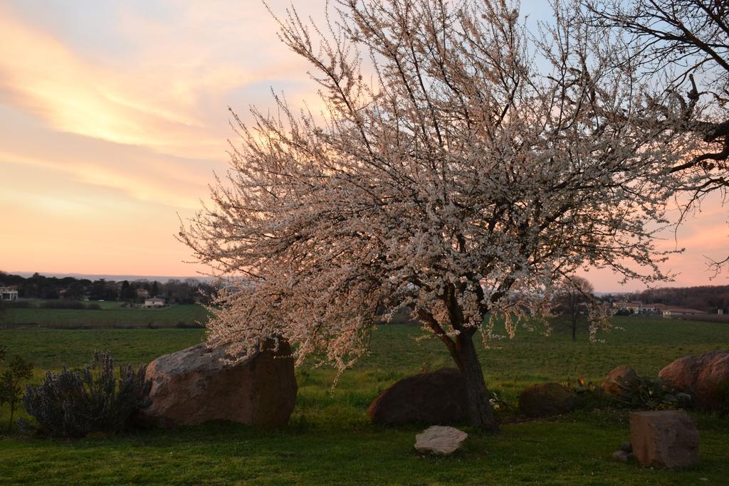 Agriturismo Il Poggio เวตรัลลา ภายนอก รูปภาพ