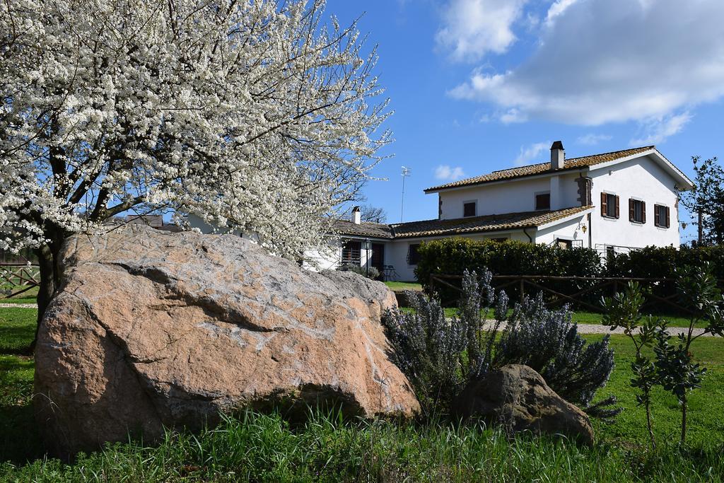 Agriturismo Il Poggio เวตรัลลา ภายนอก รูปภาพ